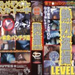 ＜チラリ＞ 熱烈盗撮 LEVEL3 『FANZA』