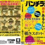 ＜チラリ＞ ―パンチラ通信― 若手女子社員はパンチラ胸チラ気にしない？ここが覗きスポット！ 『FANZA』