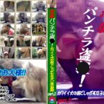＜チラリ＞ 悪戯パンチラ盗○！～カワイイ犬の前でしゃがむ女子○生の股間 Part.2 『FANZA』