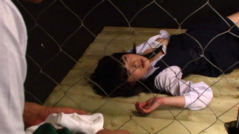 『高画質』 妖艶美少女拷問 蜜汁ダダ漏れ禁断淫蕩昇天図鑑 INFERN...