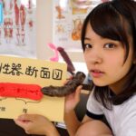 『高画質』 絶対妊娠！ガン反り生チ○ポで孕ませ中出しSEX！ あべみかこ ＜動画＞