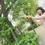 『高画質』 純白肌の19歳美処女 決意のAV出演。 藤原小夜 ＜動画＞