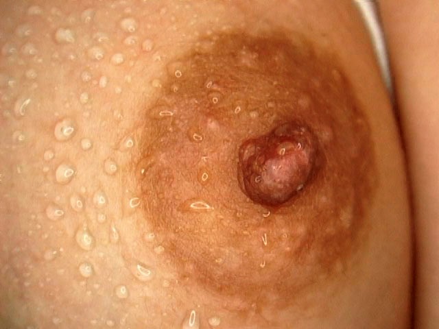 『高画質』 乳首 陥没 勃起 デカ 豆 黒 ＜動画＞