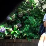 『高画質』 可憐な女子校生が堕ちたSEXの記録 向井藍 ＜動画＞