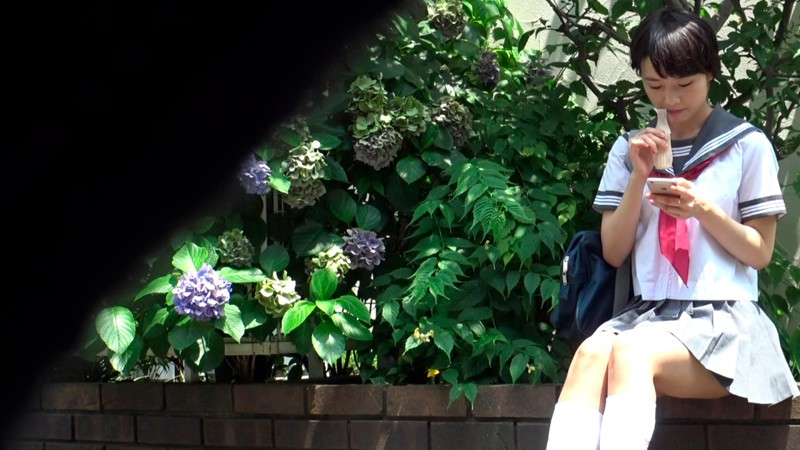 『高画質』 可憐な女子校生が堕ちたSEXの記録 向井藍 ＜動画＞