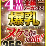 『高画質』 【VR】ヌケる作品大放出！！豪華4作品を全編ノーカット！！爆乳 SELECT BEST 256分 ＜動画＞
