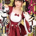 『高画質』 【VR】HQ60fps 激カワ美乳メイド 通いまくってポイントMAX！ご主人様にSPコースでご奉仕しちゃいます！ 如月夏希 ＜動画＞