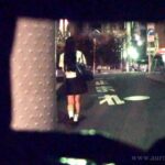 『高画質』 しおりちゃん…あなたを狙ってる男たちがいます…くれぐれもチャイムが鳴ってもすぐドアを開けちゃダメですよ…。 宮内栞 ＜動画＞