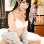 『高画質』 【VR】澄んだ朝。目が覚めると…そこには姉に痴女られている僕がいた。 咲乃小春 ＜動画＞