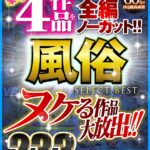 『高画質』 【VR】ヌケる作品大放出！！豪華4作品を全編ノーカット！！風俗 SELECT BEST 233分 ＜動画＞