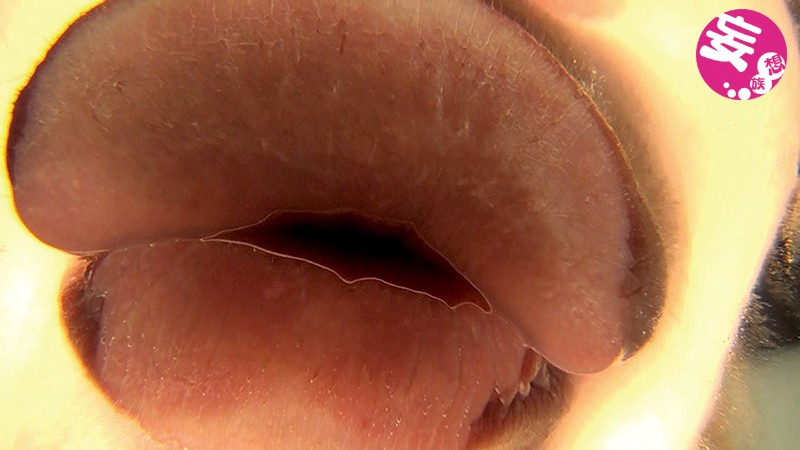 『高画質』 フランス美女レズビアン ルロア・クララ ＜動画＞