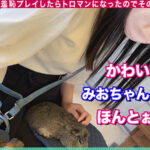 『高画質』 MOON FORCE CHEERS ぱこぱこしろうとコレクション。 vol.58 ＜動画＞