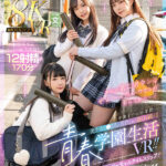 『高画質』 【VR】MOODYZ VR7周年記念作品！！ 卒業までの半年間…美少女J○3人に告白されて迫られ続ける青春学園生活VR！！8K高画質でキラキラしすぎの学園時代にバーチャルタイムスリップ！！ ＜動画＞