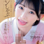 『高画質』 「フェラだけなら何回射精（だ）しても浮気にならないでしょ？」ギリギリNTR未満で追撃フェラチオが大好きチンしゃぶリスクジャンキー小悪魔痴女 宮島めい ＜動画＞