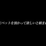 『高画質』 日泉舞香 先輩に預かってほしいと頼まれたペットはイラマ好きのM女…。ビールとわかめおにぎりも好き…無口な舞香と無口なボクの一泊二日の同居性活 ＜動画＞