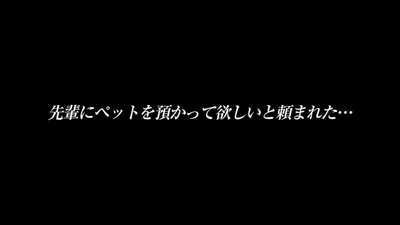 『高画質』 日泉舞香 先輩に預かってほしいと頼まれたペットはイラマ好き...