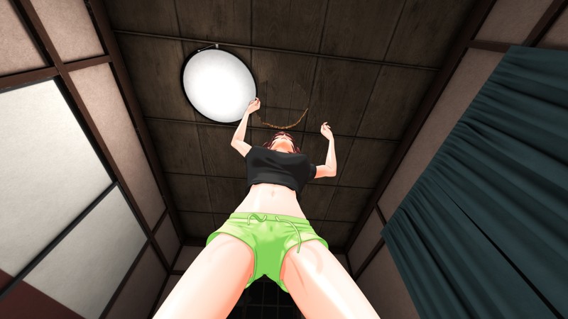 『高画質』 【VR】VR女の子が落ちた先は、俺の息子の先っぽでした。後...