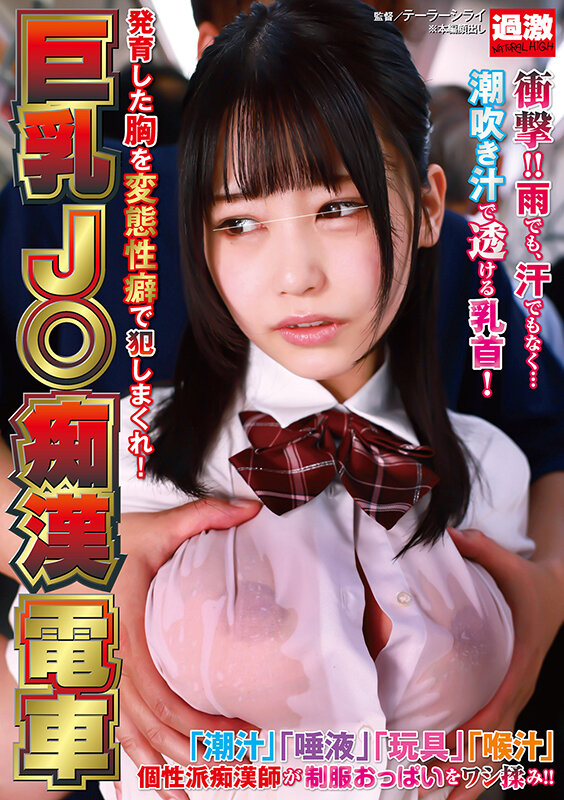 『高画質』 巨乳J○痴●電車 発育した胸を変態性癖で犯しまくれ！ ＜動...
