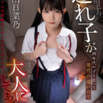 『高画質』 【VR】再婚相手の連れ子が同年代の子と比べて発育が遅いので無理矢理大人にしてあげた 南日菜乃 ＜動画＞