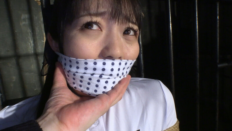 『高画質』 囚われの緊縛令嬢 DIDコレクション3 ＜動画＞