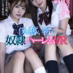『高画質』 【VR】美少女2人を半年間たっぷり調教 僕を奪い合う奴●ハーレムVR ＜動画＞