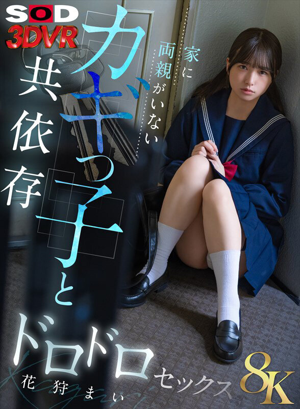 『高画質』 【VR】【8K】家に両親がいないカギっ子と共依存ドロドロセ...