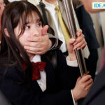 『高画質』 アイドル級に可愛い制服美少女は痴●され公然お漏らし絶頂する羞恥と快感にハマってしまう 山田鈴奈 ＜動画＞